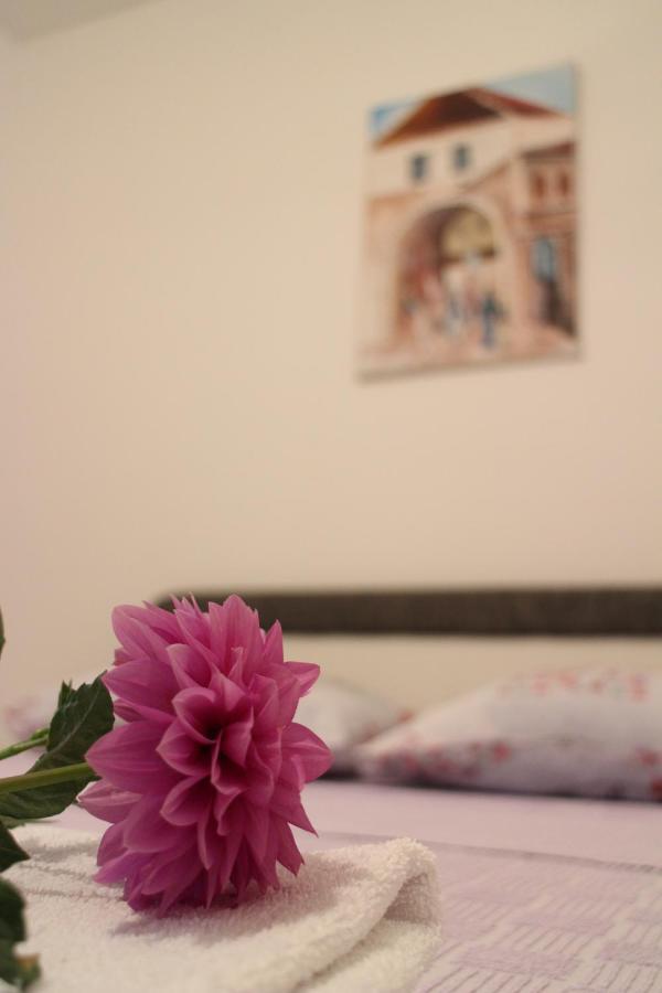 טרביניה Apartman Anja מראה חיצוני תמונה
